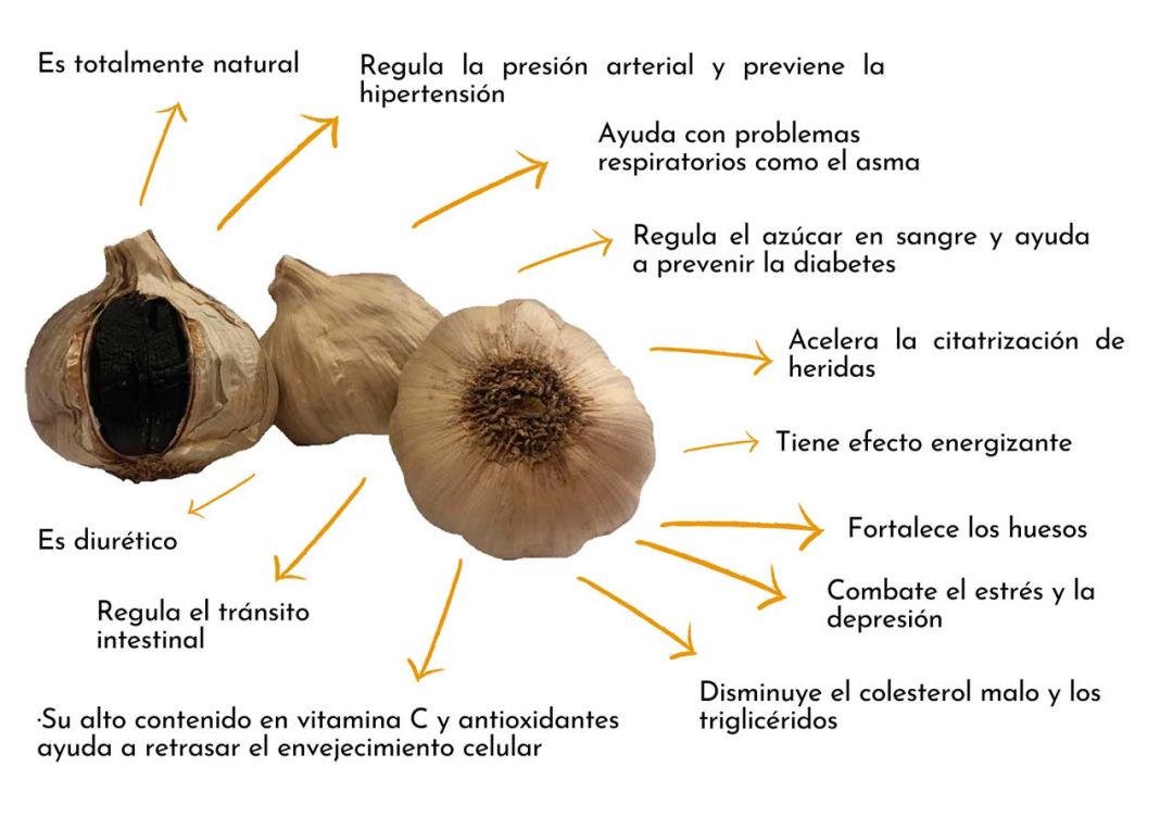 Beneficios Ajo Negro